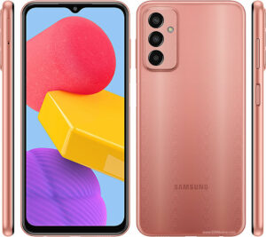 Wasserschadenbehandlung Samsung Galaxy F13 Reparatur