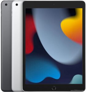 Wasserschadenbehandlung und Reinigung Apple iPad 10 2022